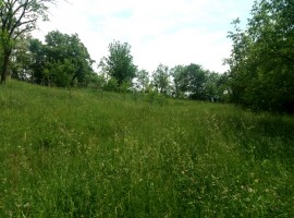 Vanzare teren intravilan